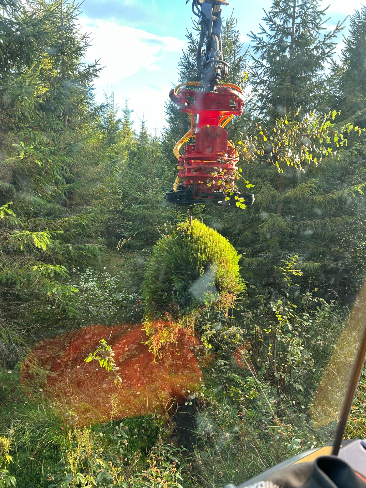 Metsätienreunan/ pellonreunan perkaus